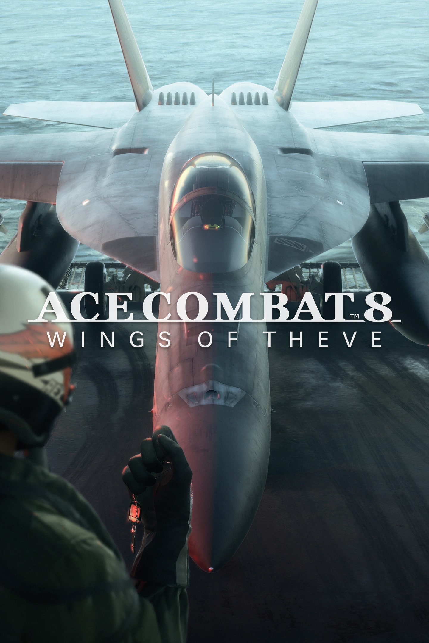 Artwork zu ACE COMBAT 8: WINGS OF THEVE